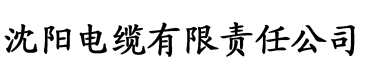 星空无限mv国产剧入选电缆厂logo